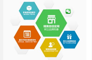 圈圈网络公司微伙伴产品招商正火爆进行中，开启网络技术开发新篇章