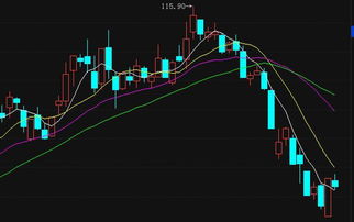 焦点科技(002315)最新走势分析与网络技术开发策略